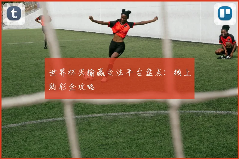 世界杯买输赢合法平台盘点:线上购彩全攻略